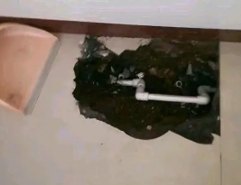 浦北卫生间测漏水多少钱